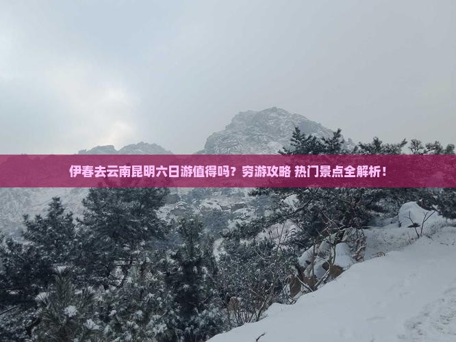 伊春去云南昆明六日游