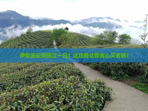 伊犁去云南丽江一日