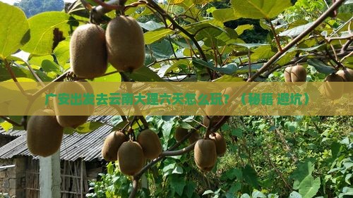 广安到云南大理六日游