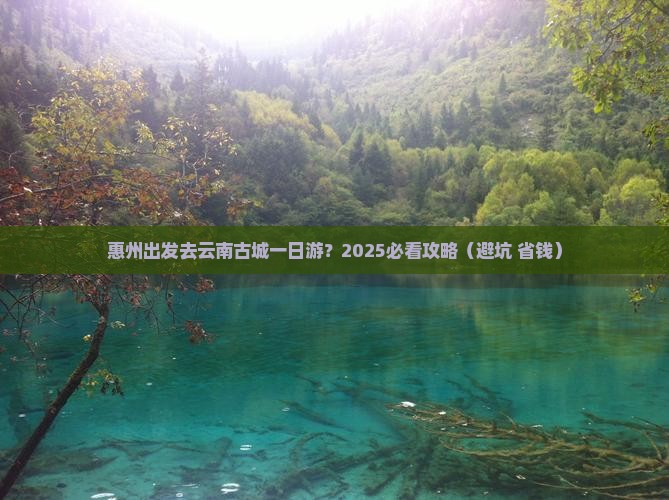 惠州到云南古城一日