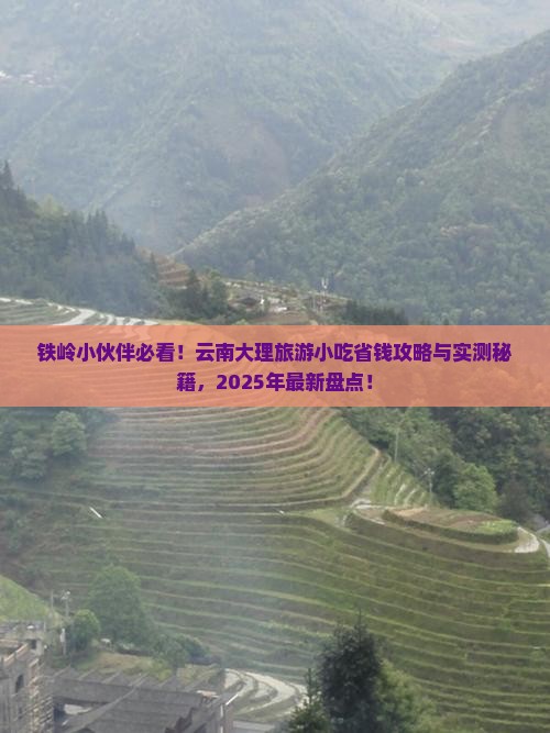 铁岭去云南大理旅游小吃