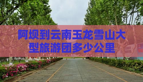 阿坝到云南玉龙雪山大型旅游团