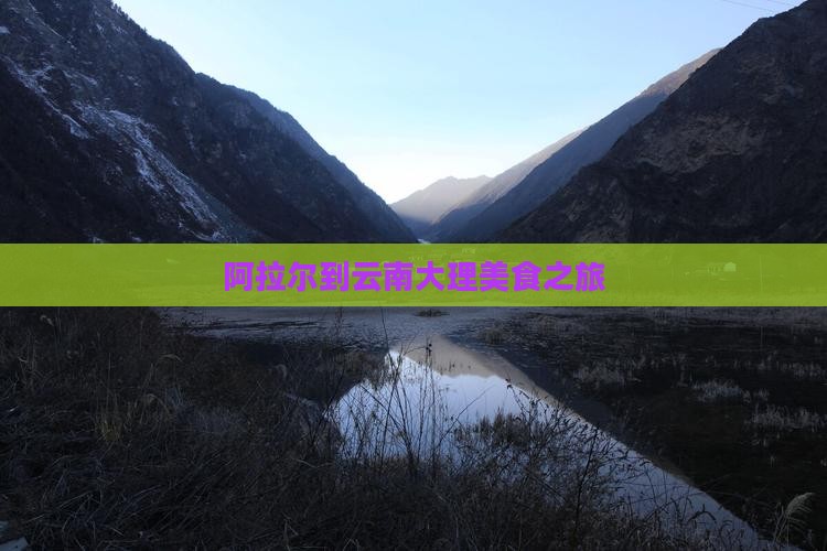 阿拉尔到云南大理旅游小吃