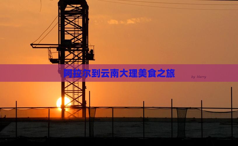阿拉尔到云南大理旅游小吃