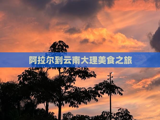 阿拉尔到云南大理旅游小吃