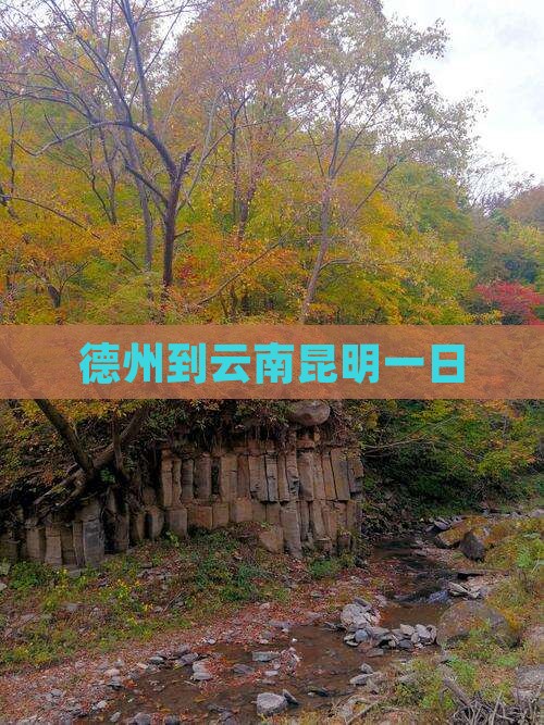 德州到云南昆明一日