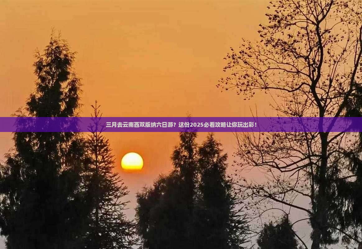 三月去云南西双版纳六日游