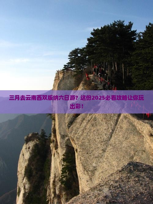 三月去云南西双版纳六日游