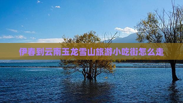 伊春到云南玉龙雪山旅游小吃 伊春到云南玉龙雪山旅游小吃