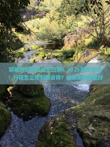 聊城到云南古城三日游