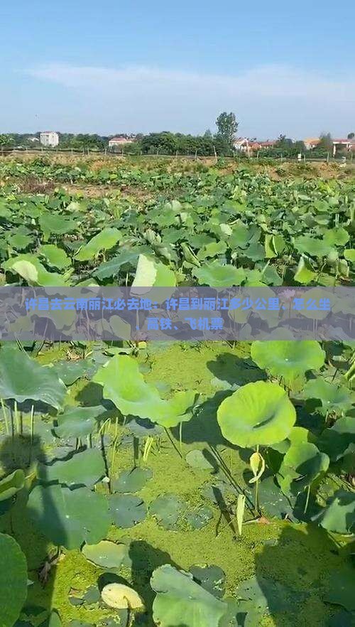 许昌去云南丽江必去地