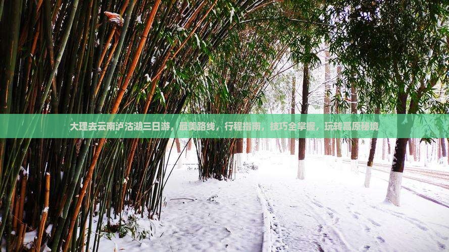 大理去云南泸沽湖三日游
