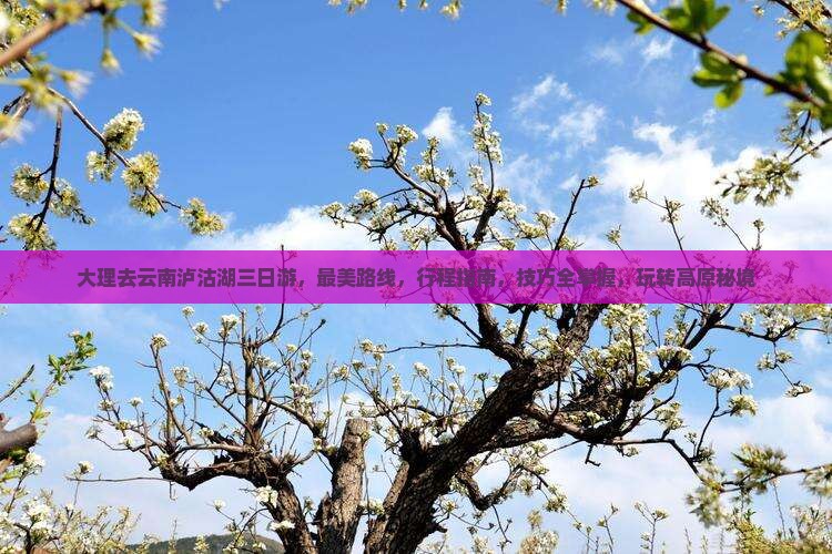 大理去云南泸沽湖三日游