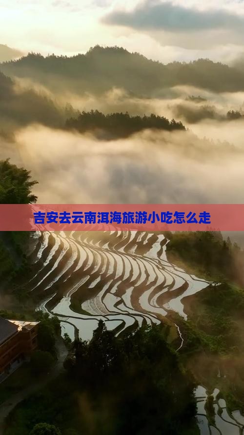吉安去云南洱海旅游小吃