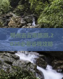 朔州去云南旅游