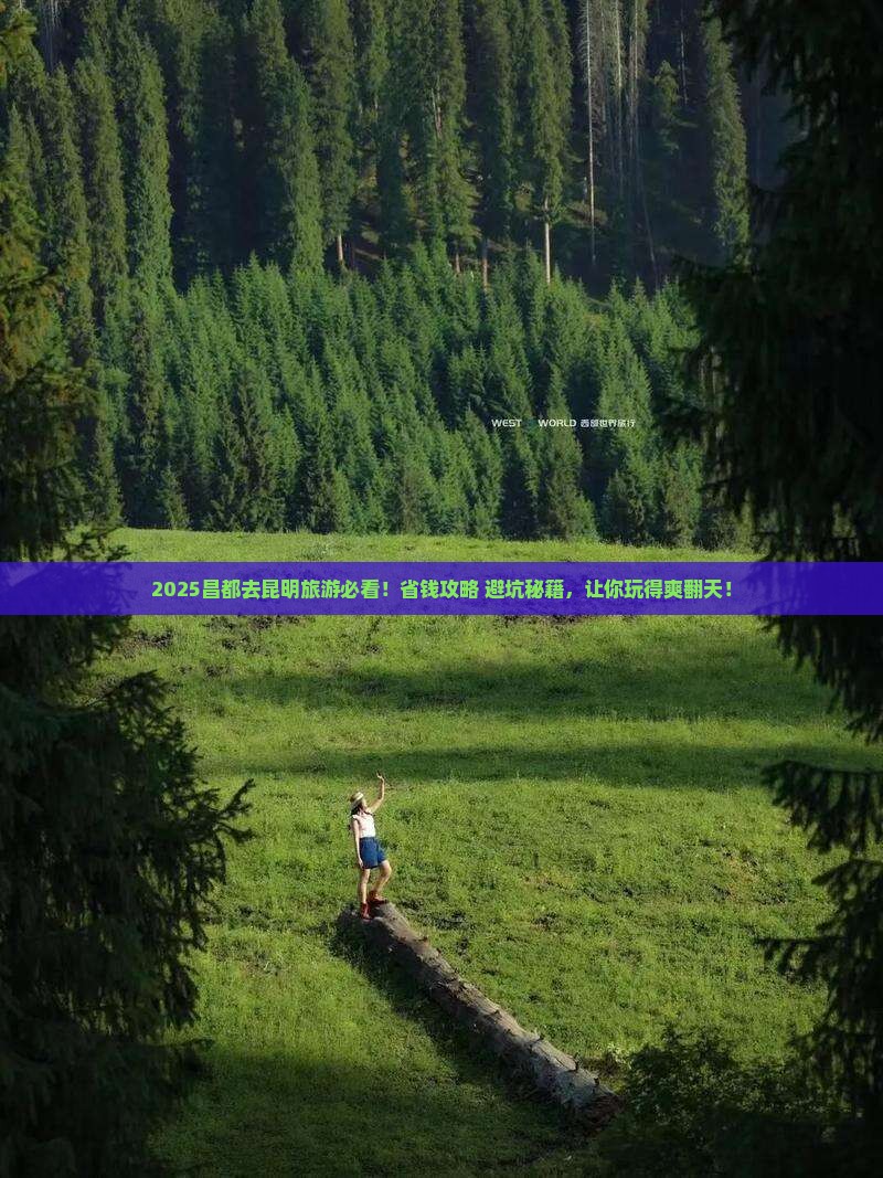 昌都去云南昆明大型旅游团 昌都去云南昆明大型旅游团