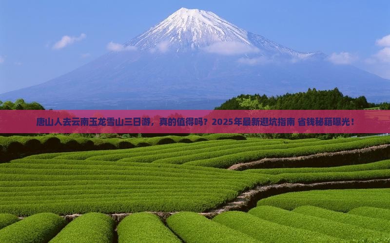 唐山去云南玉龙雪山三日游