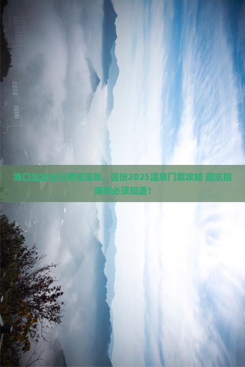 海口去云南温泉门票