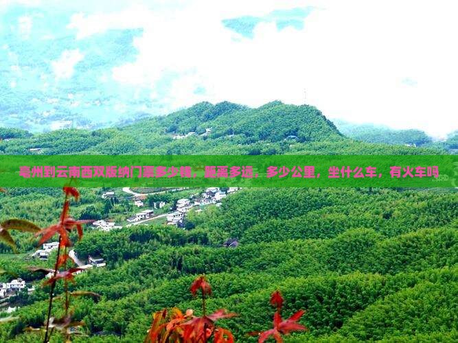 亳州到云南西双版纳门票