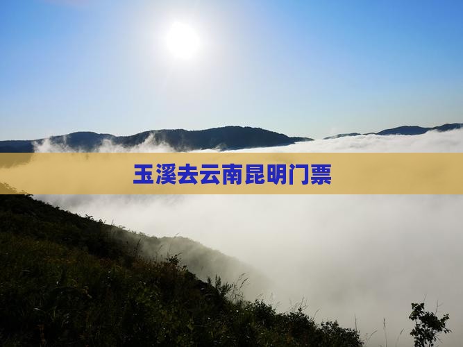 玉溪去云南昆明门票
