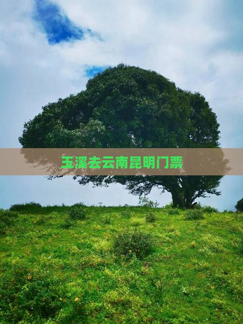 玉溪去云南昆明门票