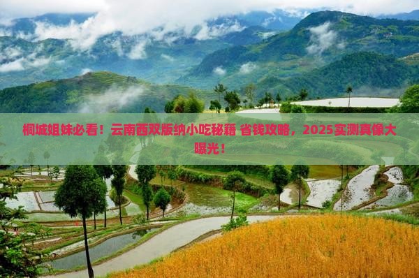 桐城去云南西双版纳旅游小吃