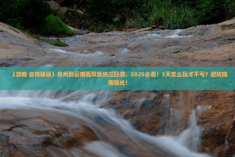 泉州到云南西双版纳三日游