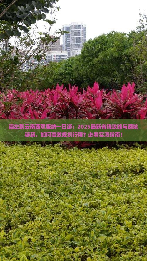 崇左到云南西双版纳一日