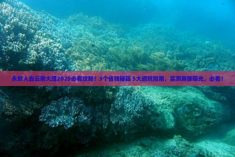 永新去云南大理攻略
