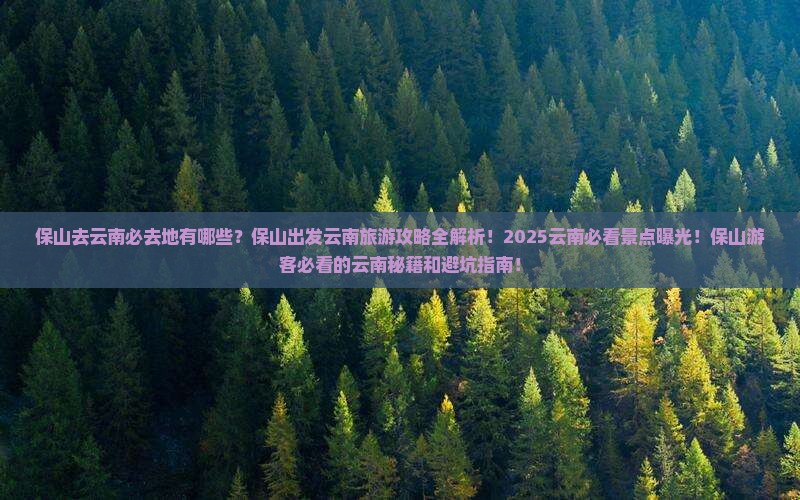 保山去云南必去地