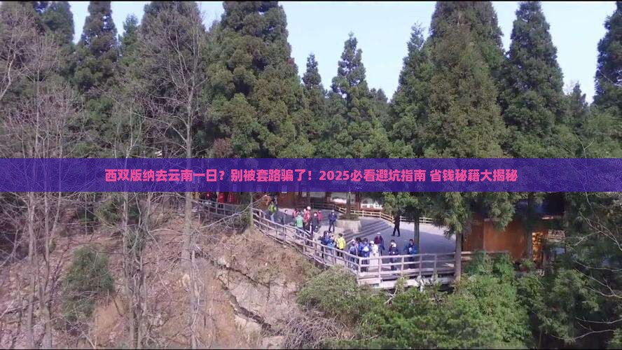 西双版纳去云南一日