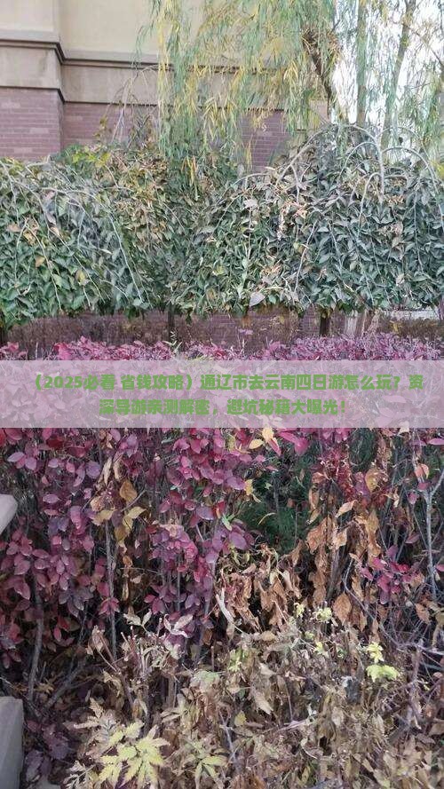 通辽市到云南四日游