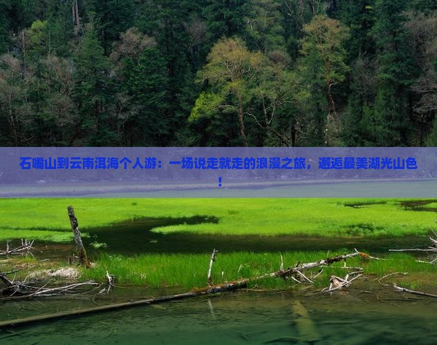 石嘴山到云南洱海个人游
