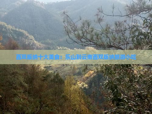 乐山到云南西双版纳旅游小吃