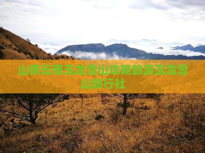 山南去云南玉龙雪山旅行社
