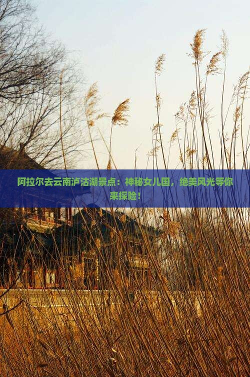 阿拉尔去云南泸沽湖景点