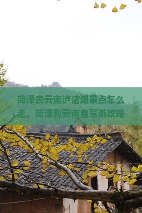 菏泽去云南泸沽湖景点