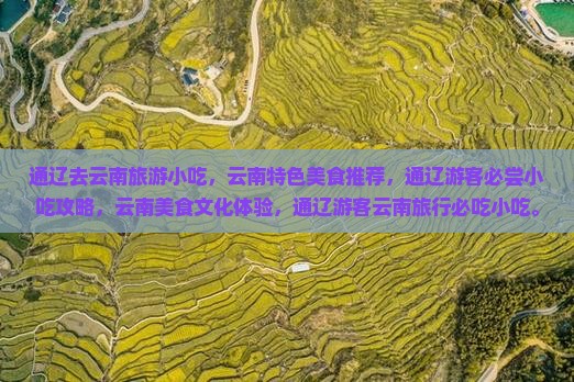 通辽去云南旅游小吃