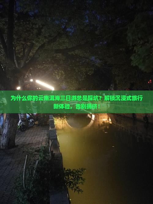 来宾去云南洱海三日游
