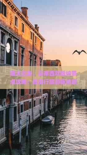 遵义去云南西双版纳自由行