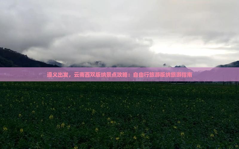 遵义去云南西双版纳自由行