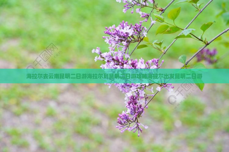 海拉尔去云南昆明二日游