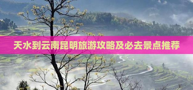 天水到云南昆明团体旅游