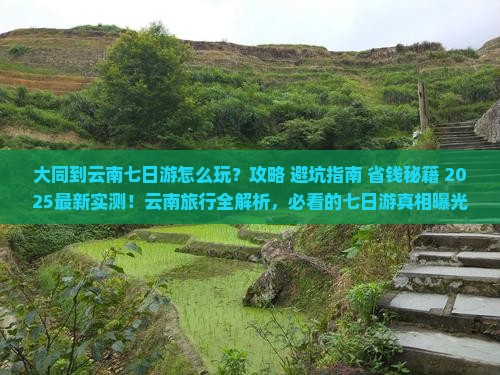 大同到云南七日游