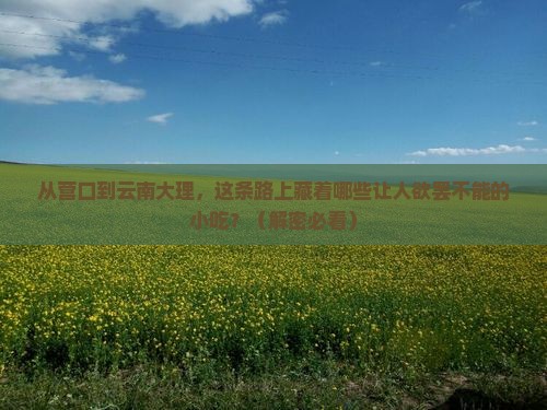 营口到云南大理旅游小吃