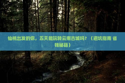 仙桃到云南古城五日游