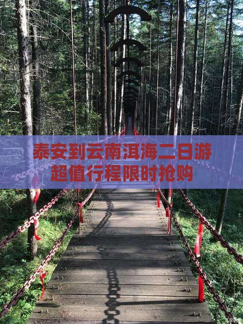 泰安到云南洱海二日游