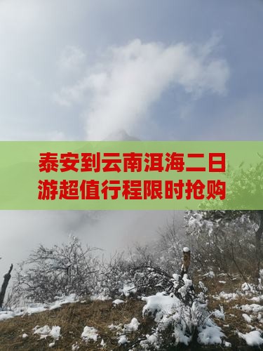 泰安到云南洱海二日游
