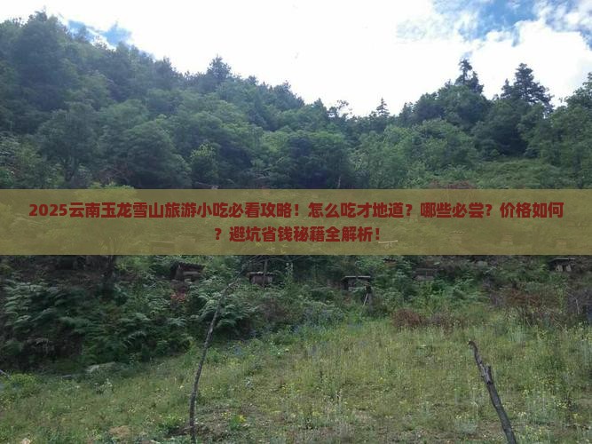 春天去云南玉龙雪山旅游小吃