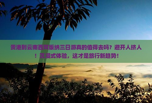 贵港到云南西双版纳三日游